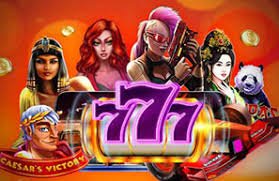 6777dbt